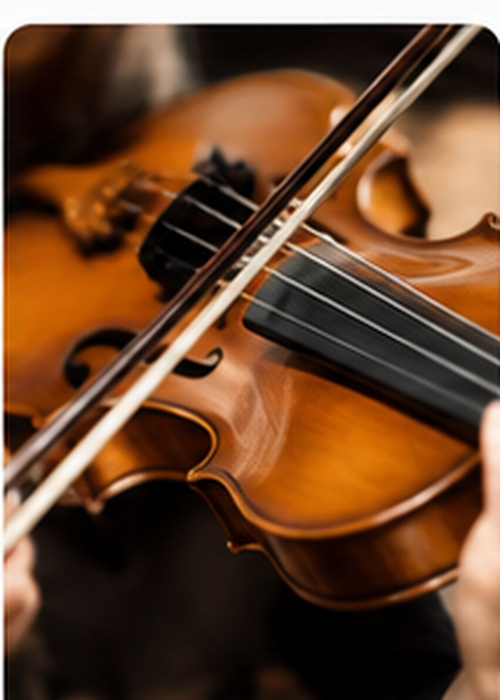Violin